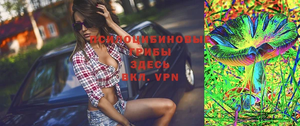 MDMA Богородицк