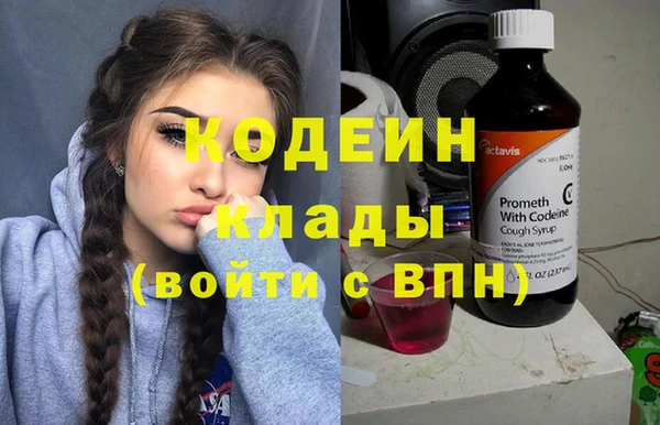 прущие грибы Бородино