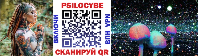 Псилоцибиновые грибы мицелий  как найти   Братск 