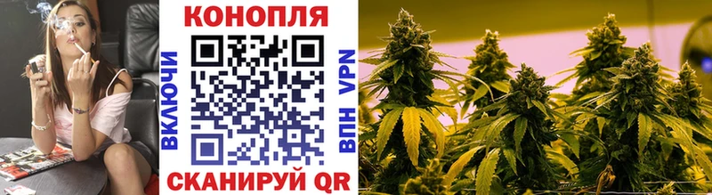 купить  сайты  Братск  Каннабис Bruce Banner 